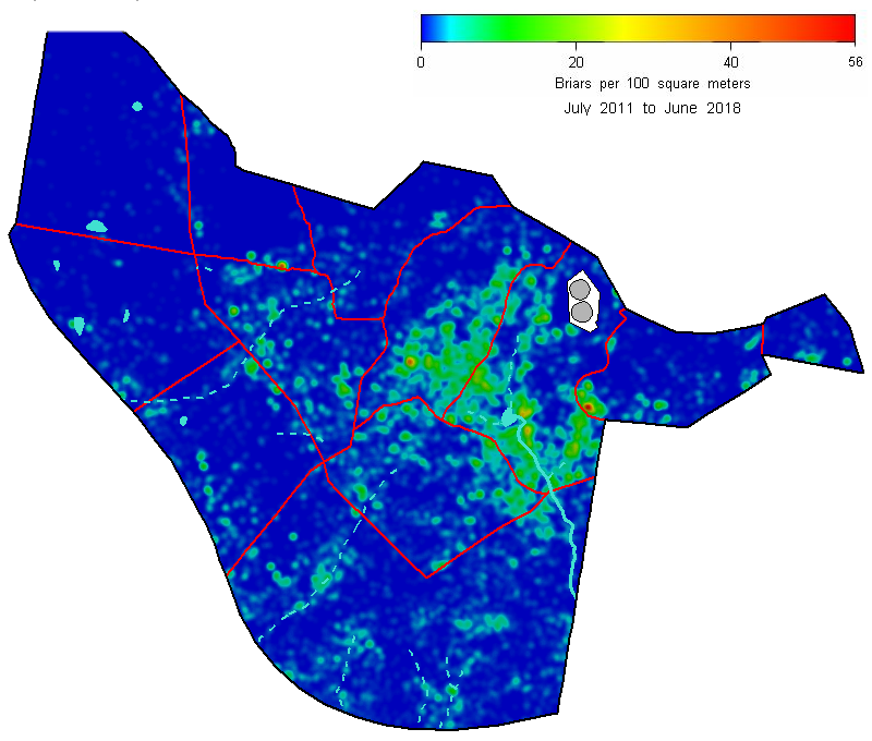 Briar density